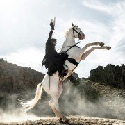 The Lone Ranger - galeria zdjęć - filmweb