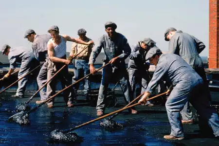 Skazani na Shawshank - galeria zdjęć - filmweb