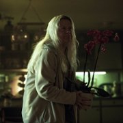 Gullregn - galeria zdjęć - filmweb