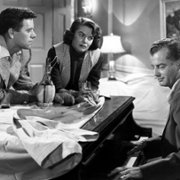 All the King's Men - galeria zdjęć - filmweb