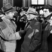 All the King's Men - galeria zdjęć - filmweb