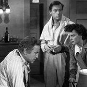 All the King's Men - galeria zdjęć - filmweb