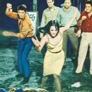 Przeznaczone do likwidacji - galeria zdjęć - filmweb