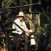 McCinsey's Island - galeria zdjęć - filmweb