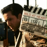 Wild at Heart - galeria zdjęć - filmweb