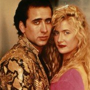 Wild at Heart - galeria zdjęć - filmweb