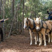 Dolly Parton's Heartstrings - galeria zdjęć - filmweb