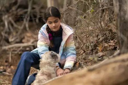 Dolly Parton's Heartstrings - galeria zdjęć - filmweb