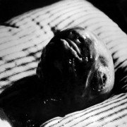 Eraserhead - galeria zdjęć - filmweb