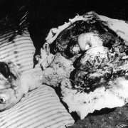 Eraserhead - galeria zdjęć - filmweb