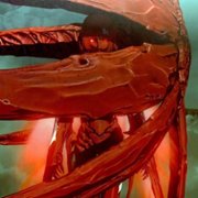Sidonia no Kishi - galeria zdjęć - filmweb