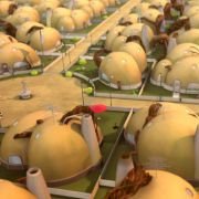 Disco ormene - galeria zdjęć - filmweb