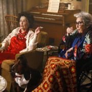 The Middle - galeria zdjęć - filmweb