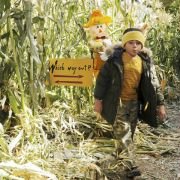 The Middle - galeria zdjęć - filmweb