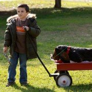 The Middle - galeria zdjęć - filmweb