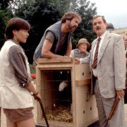 Lemur zwany Rollo - galeria zdjęć - filmweb