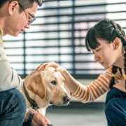 Xiǎo Q - galeria zdjęć - filmweb