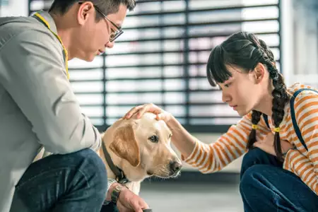 Xiǎo Q - galeria zdjęć - filmweb