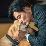 Xiǎo Q - galeria zdjęć - filmweb