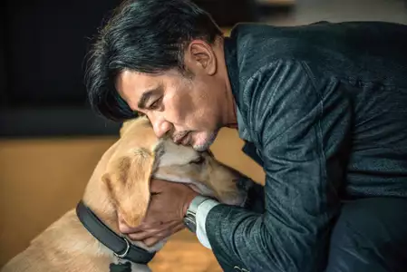 Xiǎo Q - galeria zdjęć - filmweb