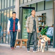 Xiǎo Q - galeria zdjęć - filmweb