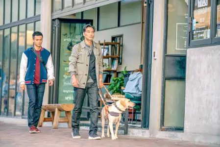 Xiǎo Q - galeria zdjęć - filmweb