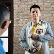 Xiǎo Q - galeria zdjęć - filmweb