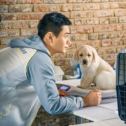 Xiǎo Q - galeria zdjęć - filmweb