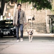 Xiǎo Q - galeria zdjęć - filmweb