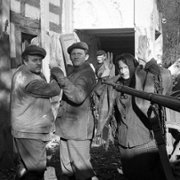 Sami swoi - galeria zdjęć - filmweb