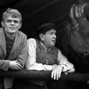 Sami swoi - galeria zdjęć - filmweb