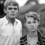 Sami swoi - galeria zdjęć - filmweb