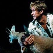 Wake in Fright - galeria zdjęć - filmweb