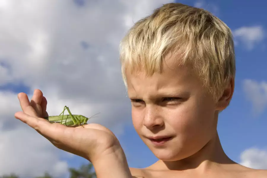 Ludzie w słońcu - galeria zdjęć - filmweb