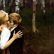 Brzezina - galeria zdjęć - filmweb