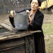 Brzezina - galeria zdjęć - filmweb