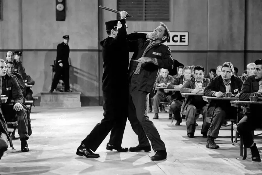 Ptasznik z Alcatraz - galeria zdjęć - filmweb