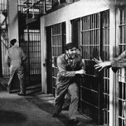 Ptasznik z Alcatraz - galeria zdjęć - filmweb