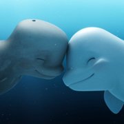 Katak: The Brave Beluga - galeria zdjęć - filmweb