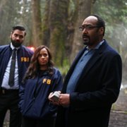 The Irrational - galeria zdjęć - filmweb