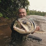 Podwodne olbrzymy - galeria zdjęć - filmweb