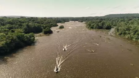 Podwodne olbrzymy - galeria zdjęć - filmweb