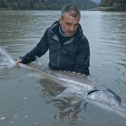 Podwodne olbrzymy - galeria zdjęć - filmweb
