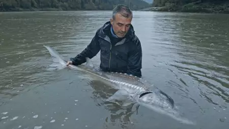 Podwodne olbrzymy - galeria zdjęć - filmweb