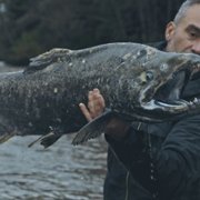 Podwodne olbrzymy - galeria zdjęć - filmweb
