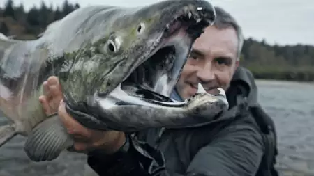 Podwodne olbrzymy - galeria zdjęć - filmweb