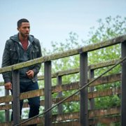 Wolf - galeria zdjęć - filmweb