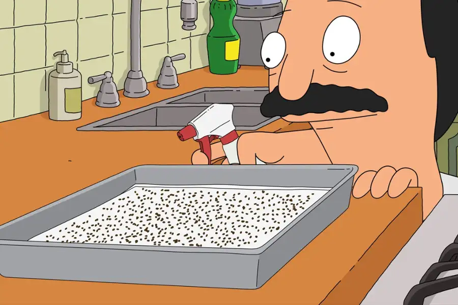Bob's Burgers - galeria zdjęć - filmweb
