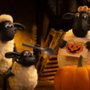 Baranek Shaun i kudłata bestia - galeria zdjęć