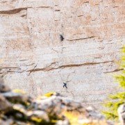 Alpine Wall Tour - galeria zdjęć - filmweb